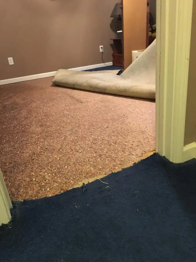 Carpet pad removal revealing water damage during Drying & Dehumidification in Richmond